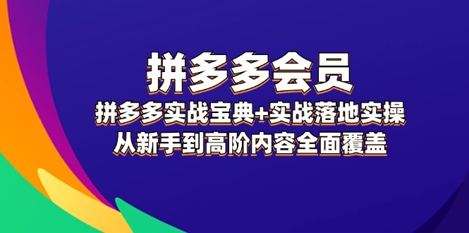 图片[1]-（12056期）拼多多 会员，拼多多实战宝典+实战落地实操，从新手到高阶内容全面覆盖-韬哥副业项目资源网