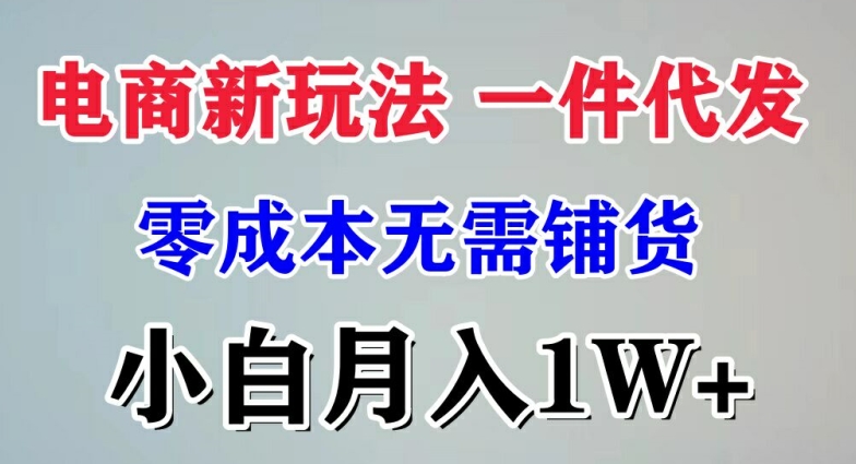 电商新玩法 一件代发,零成本无需铺货，小白月入1W 