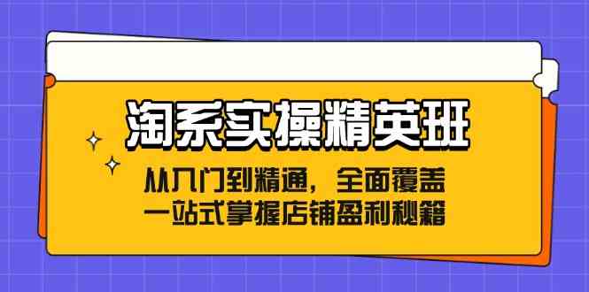 图片[1]-淘系实操精英班：从入门到精通，全面覆盖，一站式掌握店铺盈利秘籍-韬哥副业项目资源网