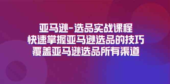 图片[1]-亚马逊选品实战课程，快速掌握亚马逊选品的技巧，覆盖亚马逊选品所有渠道-韬哥副业项目资源网