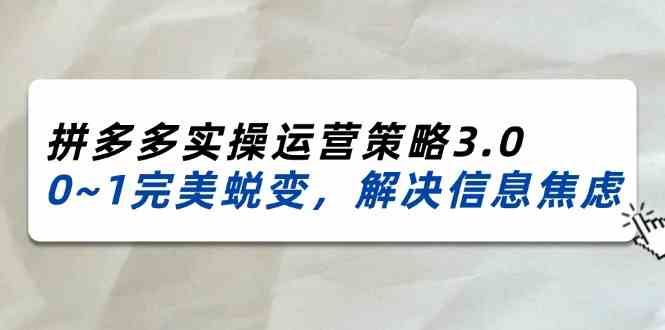 图片[1]-2024-2025拼多多实操运营策略3.0，0~1完美蜕变，解决信息焦虑（38节）-韬哥副业项目资源网