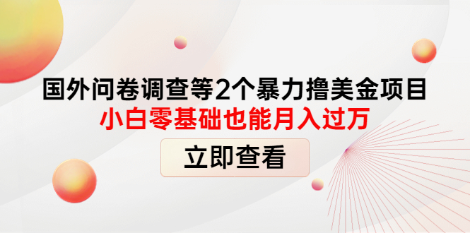 图片[1]-（4062期）国外问卷调查等2个暴力撸美金项目，小白零基础也能月入过万-