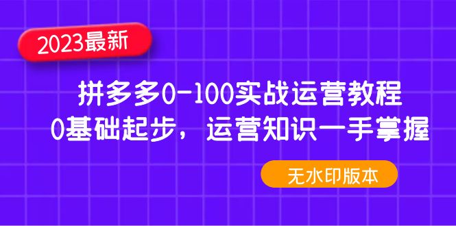 图片[1]-（4835期）2023拼多多0-100实战运营教程，0基础起步，运营知识一手掌握（无水印）-