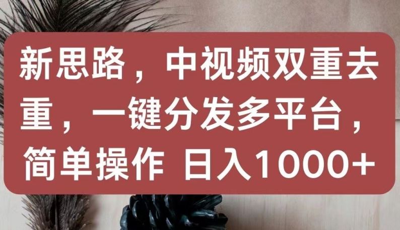 新思路，中视频双重去重，一键分发多平台，简单操作，日入1000+【揭秘】插图