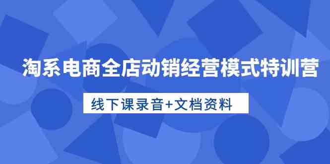 图片[1]-淘系电商全店动销经营模式特训营，线下课录音+文档资料