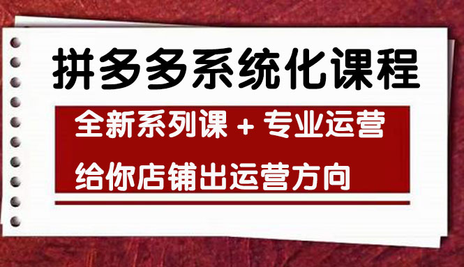 图片[1]-（4259期）车神陪跑，拼多多系统化课程，全新系列课+专业运营给你店铺出运营方向-