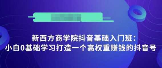 抖音基础入门班：小白0基础学习打造一个高权重赚钱的抖音号