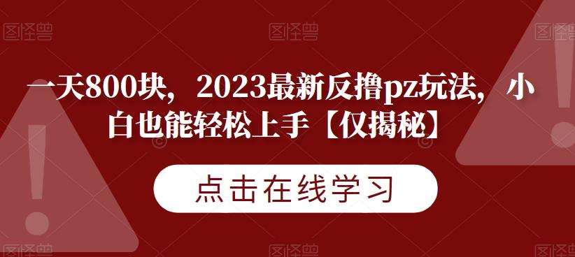 一天800块，2023最新反撸pz玩法，小白也能轻松上手【仅揭秘】