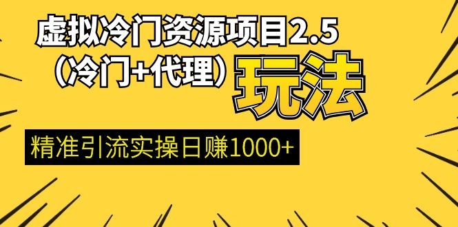 图片[1]-（1185期）虚拟冷门资源项目2.5（冷门&代理玩法） 精准引流实操日赚1000+(更新中)-