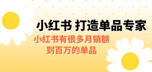 某公众号付费文章《小红书打造单品专家》小红书有很多月销额到百万的单品