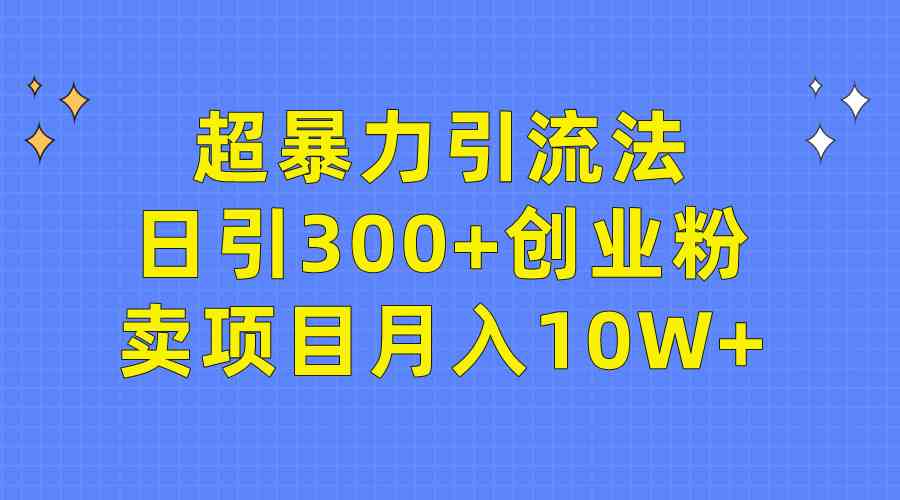 （9954期）超暴力引流法，日引300+创业粉，卖项目月入10W+插图