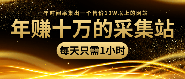 （1418期）年赚十万的采集站，每天1小时，一年采集出一个售价10W的网站（无水印）