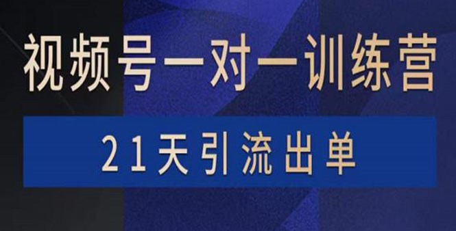 图片[1]-（3678期）视频号训练营：带货，涨粉，直播，游戏，四大变现新方向，21天引流出单-