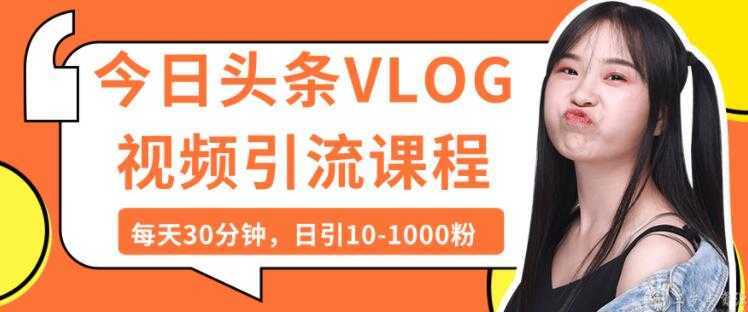 今日头条VLOG视频引流技术，每天30分钟，日引10-1000粉