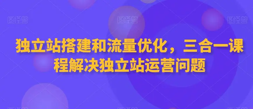 独立站搭建和流量优化，三合一课程解决独立站运营问题插图