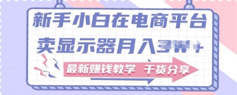 新手小白如何做到在电商平台卖显示器，最新赚钱教学干货分享