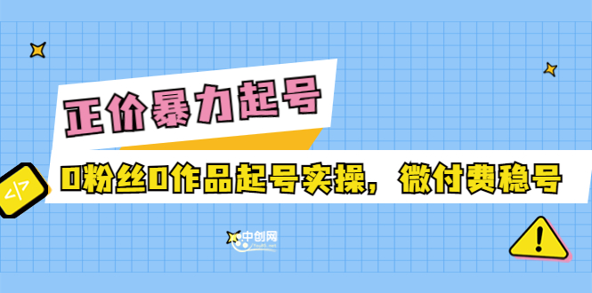 图片[1]-（3377期）正价暴力起实操号：0粉丝0作品起号实操，微付费稳号-