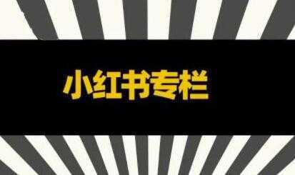 品牌医生《小红书全链营销干货》5个起盘案例，营销策略规划，避坑指南