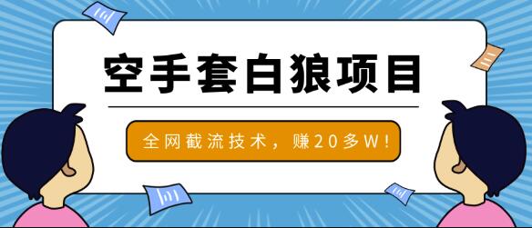 2020最新空手套白狼项目，全网批量截流技术，一个月实战成功赚20多W+