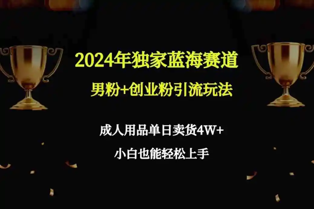 （9111期）2024年独家蓝海赛道男粉+创业粉引流玩法，成人用品单日卖货4W+保姆教程插图